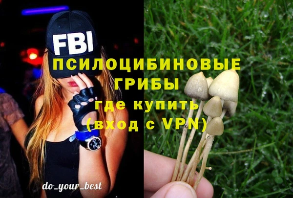каннабис Аркадак