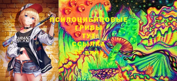 винт Армянск