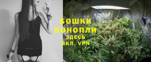каннабис Аркадак
