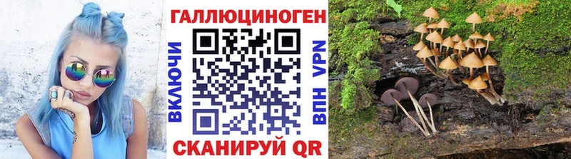 Галлюциногенные грибы ЛСД Верхняя Салда