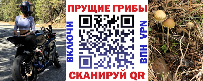 Купить где  Верхняя Салда  Псилоцибиновые грибы ЛСД 